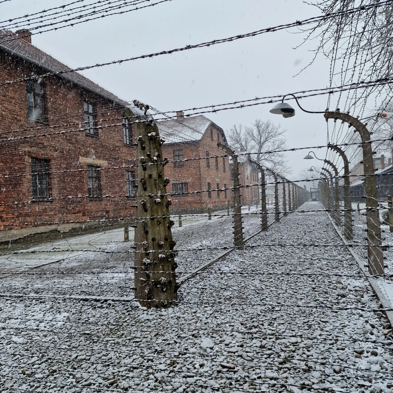Auschwitz-Birkenau claudio chiavari